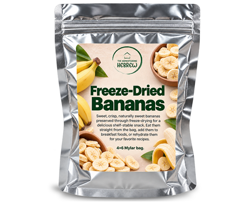 Freeze-Dried Bananas